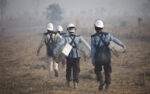 Apopo clear landmine