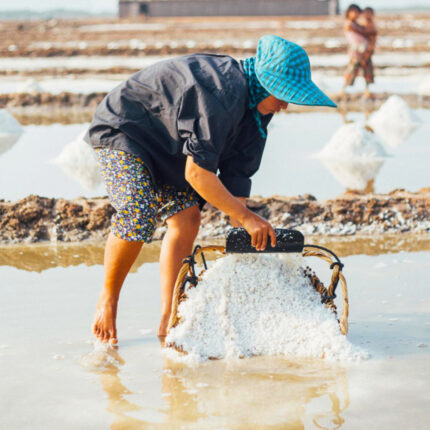 Kampot Slaty Farm - Sahaka Travel